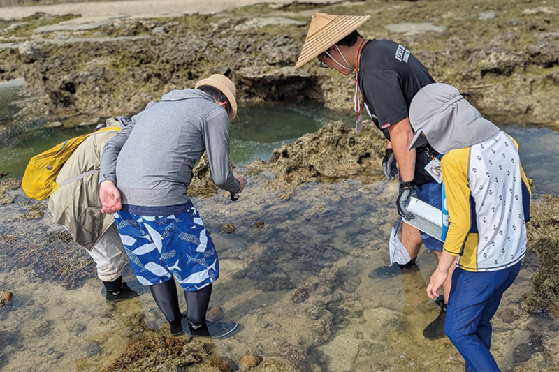 キュリオス1_800x533